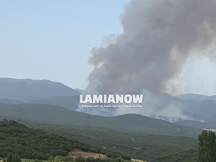 Μαίνεται η φωτιά στο χωριό Λογγίτσι της ανατολικής Φθιώτιδας - Δείτε βίντεο και φωτογραφίες