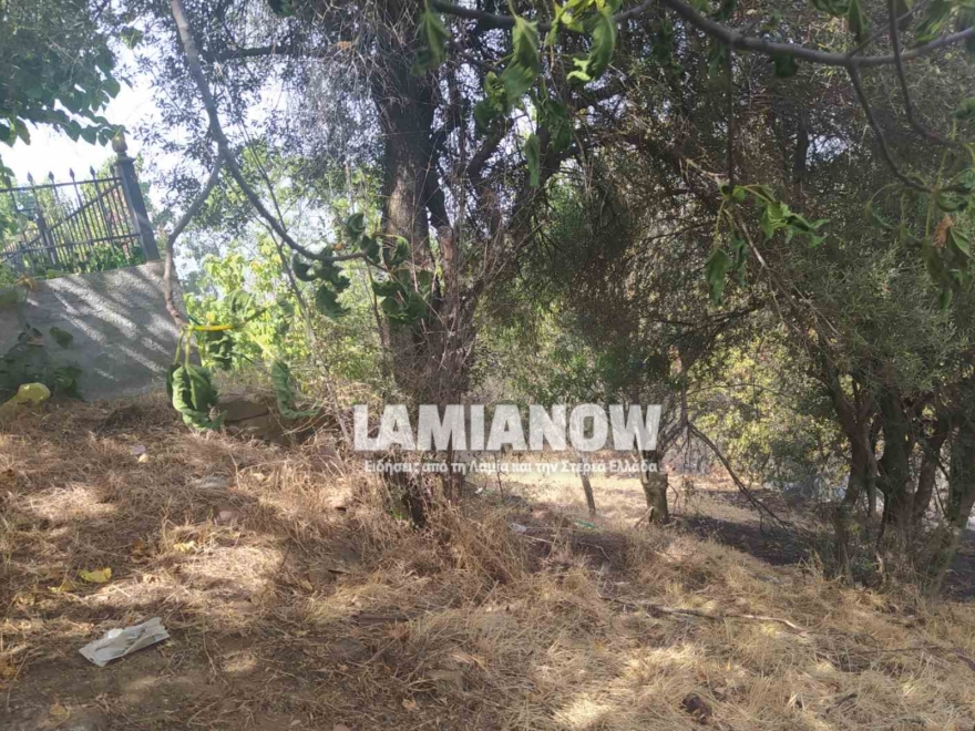 Υπό έλεγχο η φωτιά στη δυτική Φθιώτιδα - Κινδύνευσαν ηλικιωμένοι