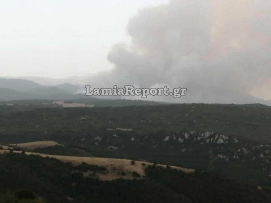 Φωτιά στη Φθιώτιδα: Ολονύχτια μάχη με τις αναζωπυρώσεις στο Λογγίτσι