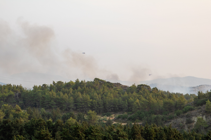 Φωτιά στη Ρόδο: Σε ύφεση όλα τα μέτωπα - Εκτιμήσεις ότι κάηκαν 7000 στρέμματα