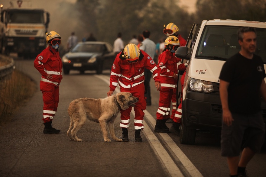 Φωτιά στη Βαρυμπόμπη: Δείτε βίντεο και φωτογραφίες από την πύρινη κόλαση