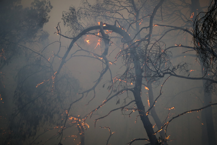 Φωτιά στη Βαρυμπόμπη: Δείτε βίντεο και φωτογραφίες από την πύρινη κόλαση