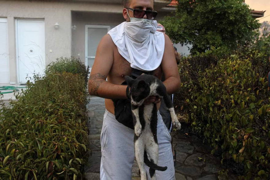 Φωτιά στη Βαρυμπόμπη: Μεγάλη κινητοποίηση για τη διάσωση των ζώων