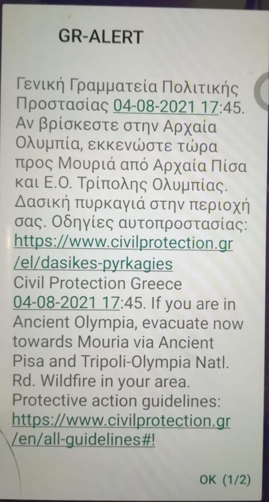 Φωτιά στην Αρχαία Ολυμπία: Εκκενώθηκαν περιοχές - Ισχυρές πυροσβεστικές δυνάμεις