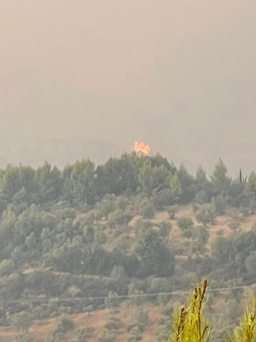 Αρχαία Ολυμπία: Σε επιφυλακή για την προστασία του αρχαιολογικού χώρου και του μουσείου - Φωτογραφίες 