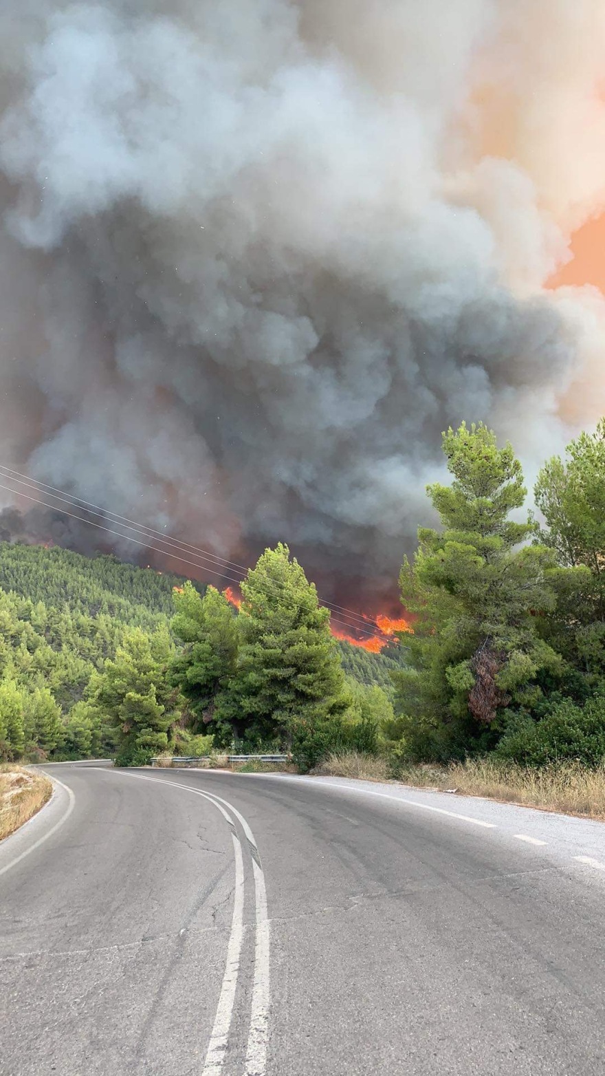 Φωτιά στην Εύβοια: Ανεξέλεγκτο το μέτωπο στις Ροβιές - Κάηκαν σπίτια - Απομάκρυναν κόσμο με πλοία