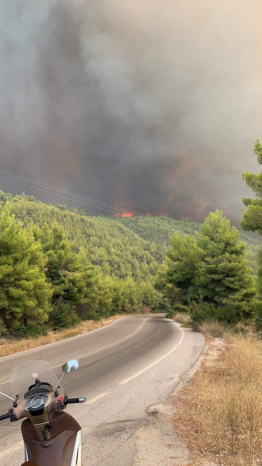 Φωτιά στην Εύβοια: Ανεξέλεγκτο το μέτωπο στις Ροβιές - Κάηκαν σπίτια - Απομάκρυναν κόσμο με πλοία