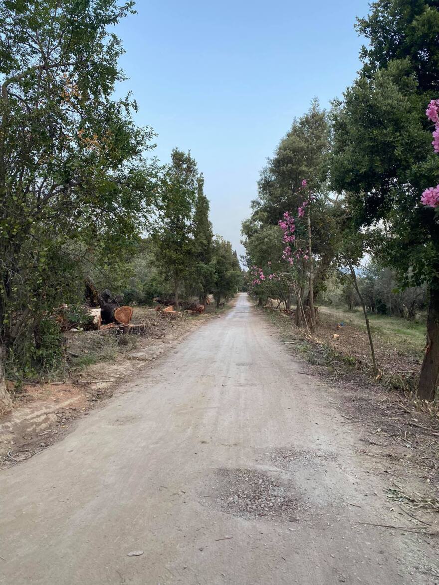 Τατόι: Μόνον συσκευασμένα πολύτιμα αντικείμενα μεταφέρθηκαν υπό τον φόβο της πυρκαγιάς