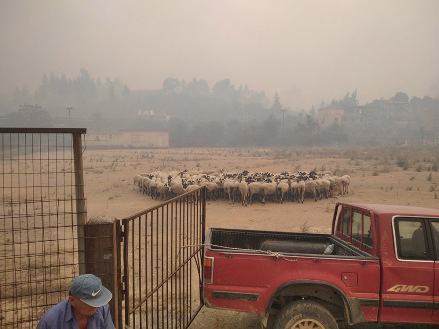 Φωτιά στην Εύβοια: Ανεξέλεγκτο το μέτωπο στις Ροβιές - Κάηκαν σπίτια - Απομάκρυναν κόσμο με πλοία