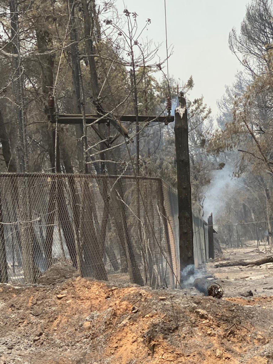 ΔΕΔΔΗΕ: Μάχη με το χρόνο των συνεργείων για την ηλεκτροδότηση σε Βαρυμπόμπη - Εύβοια