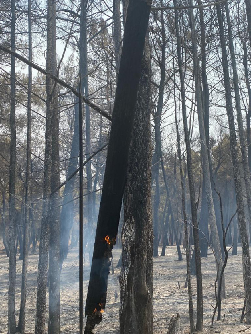 ΔΕΔΔΗΕ: Μάχη με το χρόνο των συνεργείων για την ηλεκτροδότηση σε Βαρυμπόμπη - Εύβοια