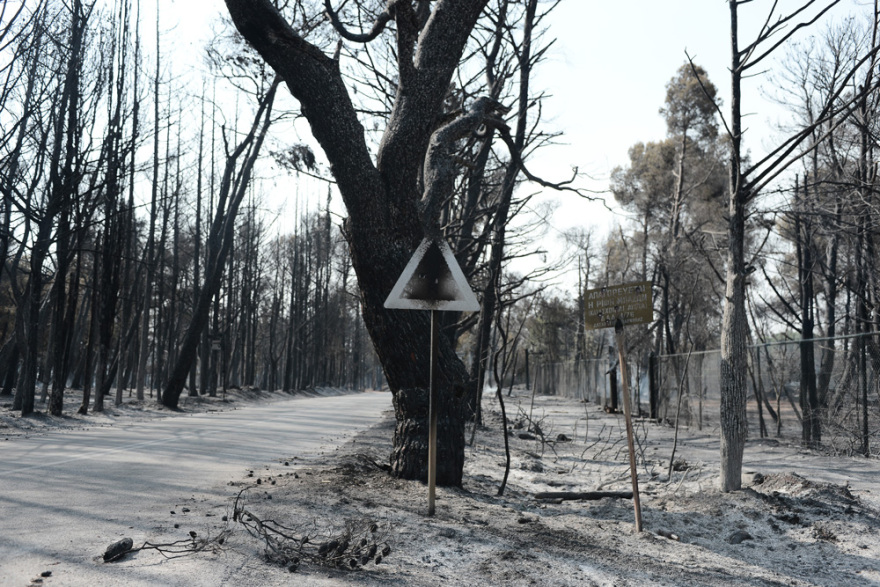 Φωτιά στη Βαρυμπόμπη: Αναζωπυρώσεις λόγω των ανέμων - Διάσπαρτες εστίες στην περιοχή, δεν υπάρχει ενιαίο μέτωπο