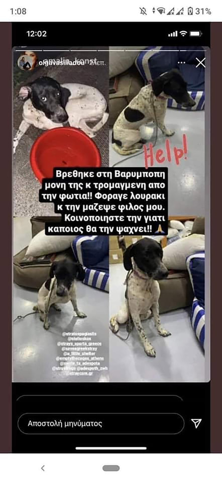 Φωτιά στη Βαρυμπόμπη: Απεγνωσμένη έκκληση να σωθούν τα ζώα από τις φλόγες