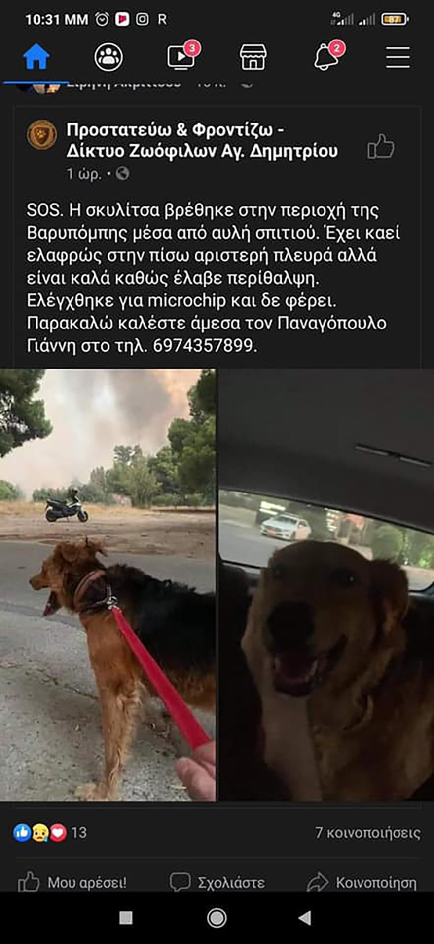 Φωτιά στη Βαρυμπόμπη: Απεγνωσμένη έκκληση να σωθούν τα ζώα από τις φλόγες