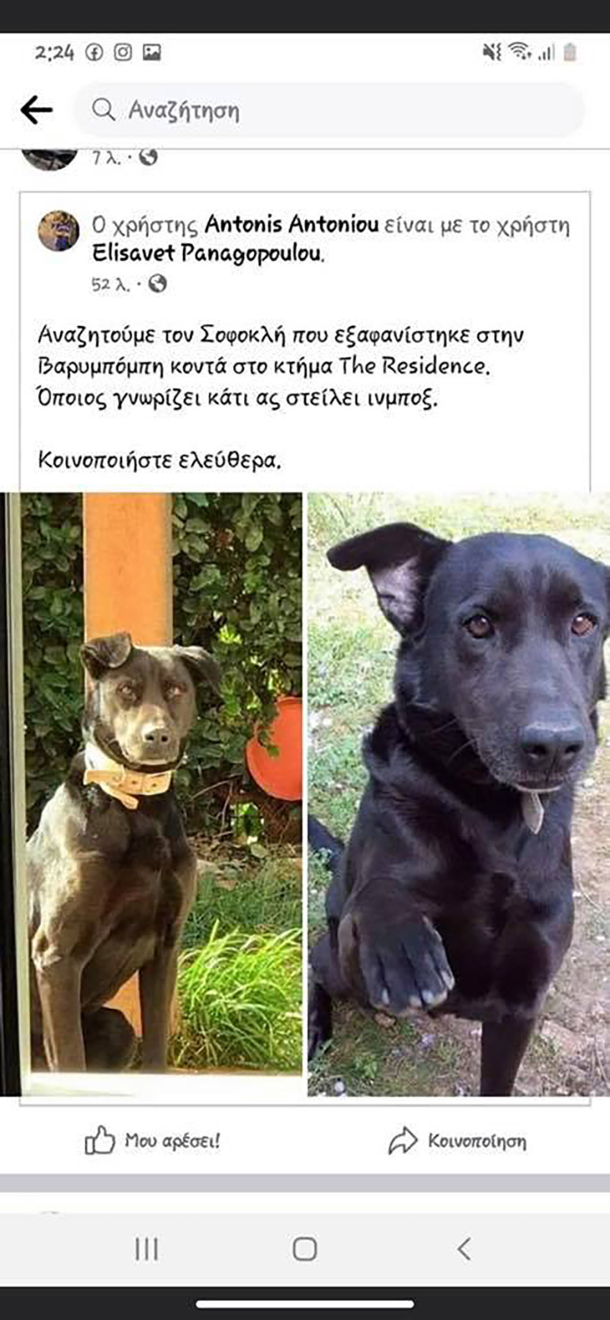 Φωτιά στη Βαρυμπόμπη: Απεγνωσμένη έκκληση να σωθούν τα ζώα από τις φλόγες