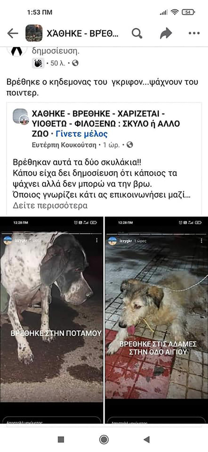 Φωτιά στη Βαρυμπόμπη: Απεγνωσμένη έκκληση να σωθούν τα ζώα από τις φλόγες