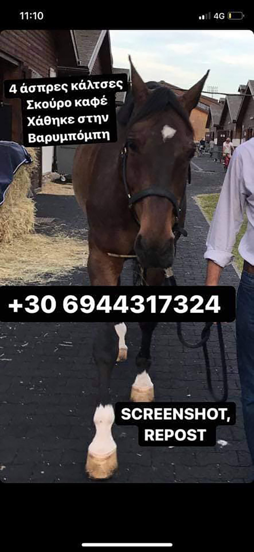 Φωτιά στη Βαρυμπόμπη: Απεγνωσμένη έκκληση να σωθούν τα ζώα από τις φλόγες