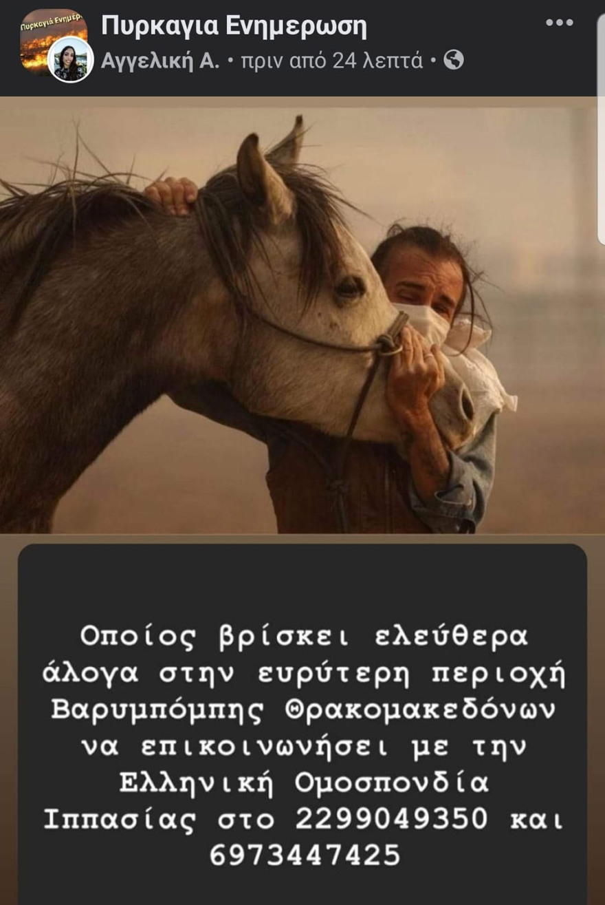 Φωτιά στη Βαρυμπόμπη: Απεγνωσμένη έκκληση να σωθούν τα ζώα από τις φλόγες