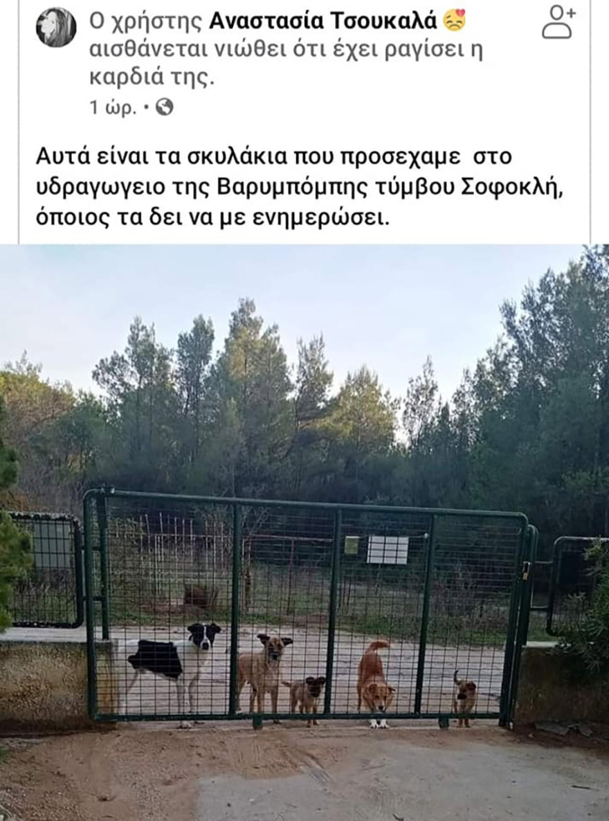 Φωτιά στη Βαρυμπόμπη: Απεγνωσμένη έκκληση να σωθούν τα ζώα από τις φλόγες