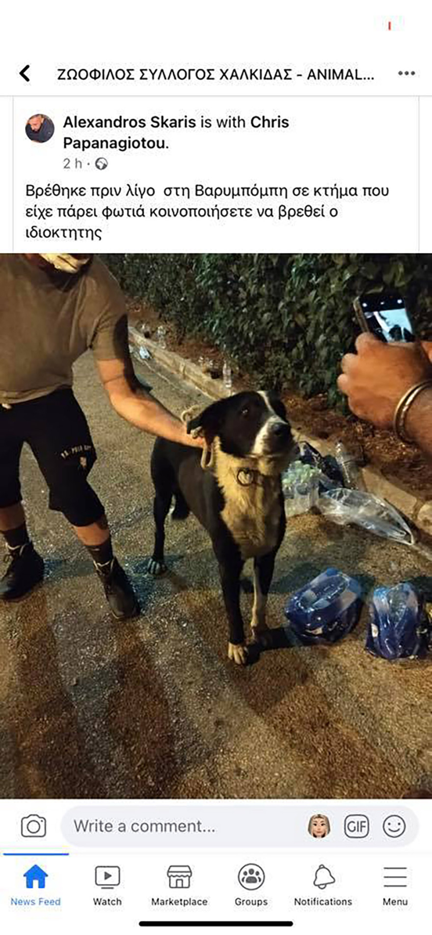 Φωτιά στη Βαρυμπόμπη: Απεγνωσμένη έκκληση να σωθούν τα ζώα από τις φλόγες
