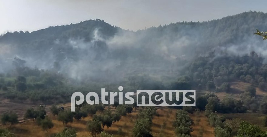 Φωτιά στην Αρχαία Ολυμπία: Στις φλόγες οι Πεύκες - Καίγονται σπίτια - Εκκενώνονται άλλοι 4 οικισμοί