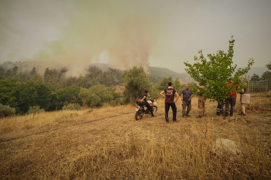Φωτιά στην Εύβοια: Νυχτερινή επιχείρηση με πλωτά - Απεγκλωβίστηκαν κάτοικοι στην Αγία Άννα - Εκκενώθηκε και η Στροφυλιά (Δείτε βίντεο)