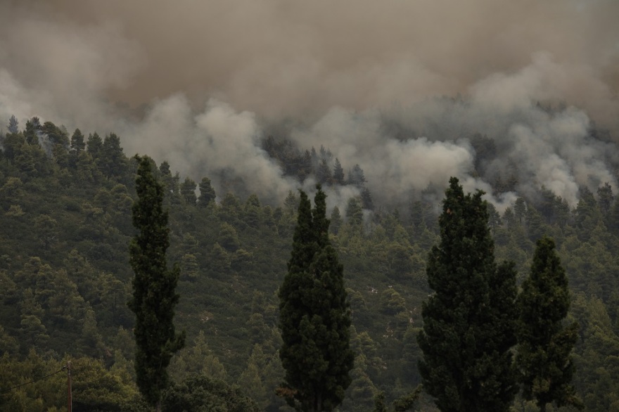 Φωτιά στην Εύβοια: Νυχτερινή επιχείρηση με πλωτά - Απεγκλωβίστηκαν κάτοικοι στην Αγία Άννα - Εκκενώθηκε και η Στροφυλιά (Δείτε βίντεο)