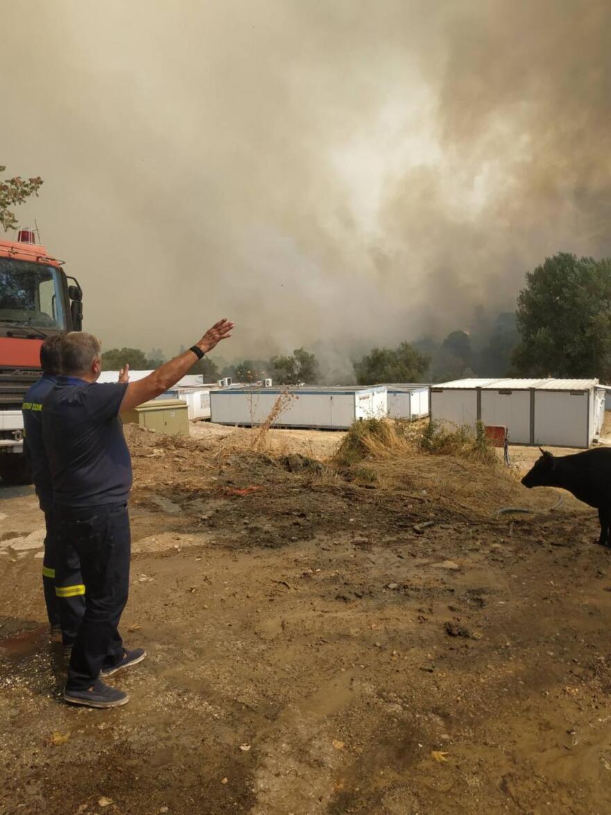 Τατόι: Στους βασιλικούς τάφους έφθασε η φωτιά, μάχη για σωθούν τα κοντέινερς με τα πολύτιμα αντικείμενα - Δείτε βίντεο και φωτογραφίες