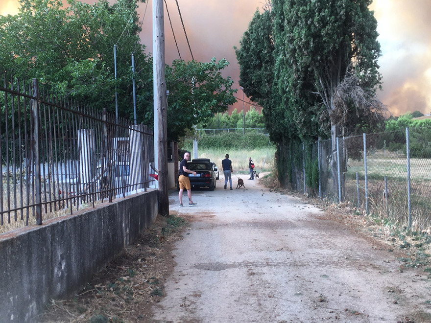 Φωτιά στη Βαρυμπόμπη: Οι φλόγες περικυκλώνουν σπίτια στο Κρυονέρι - Μήνυμα από το 112 - Εκκενώστε Κρυονέρι, Ιπποκράτειο Πολιτεία