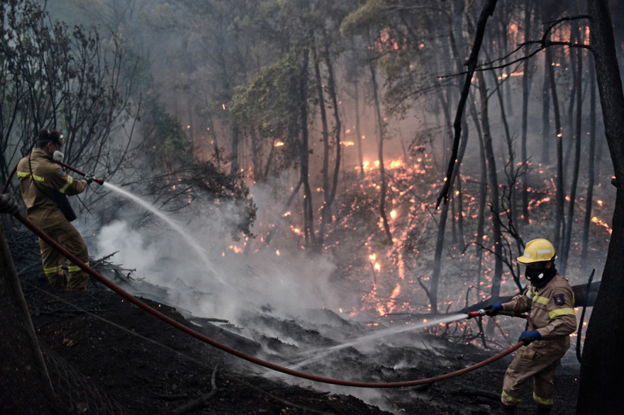 Νύχτα αγωνίας για τις φωτιές στην Αττική -  Εκκενώνονται Καπανδρίτι, Πολυδένδρι, Πευκόφυτο, Βόθωνας και οικισμός Ποντίων