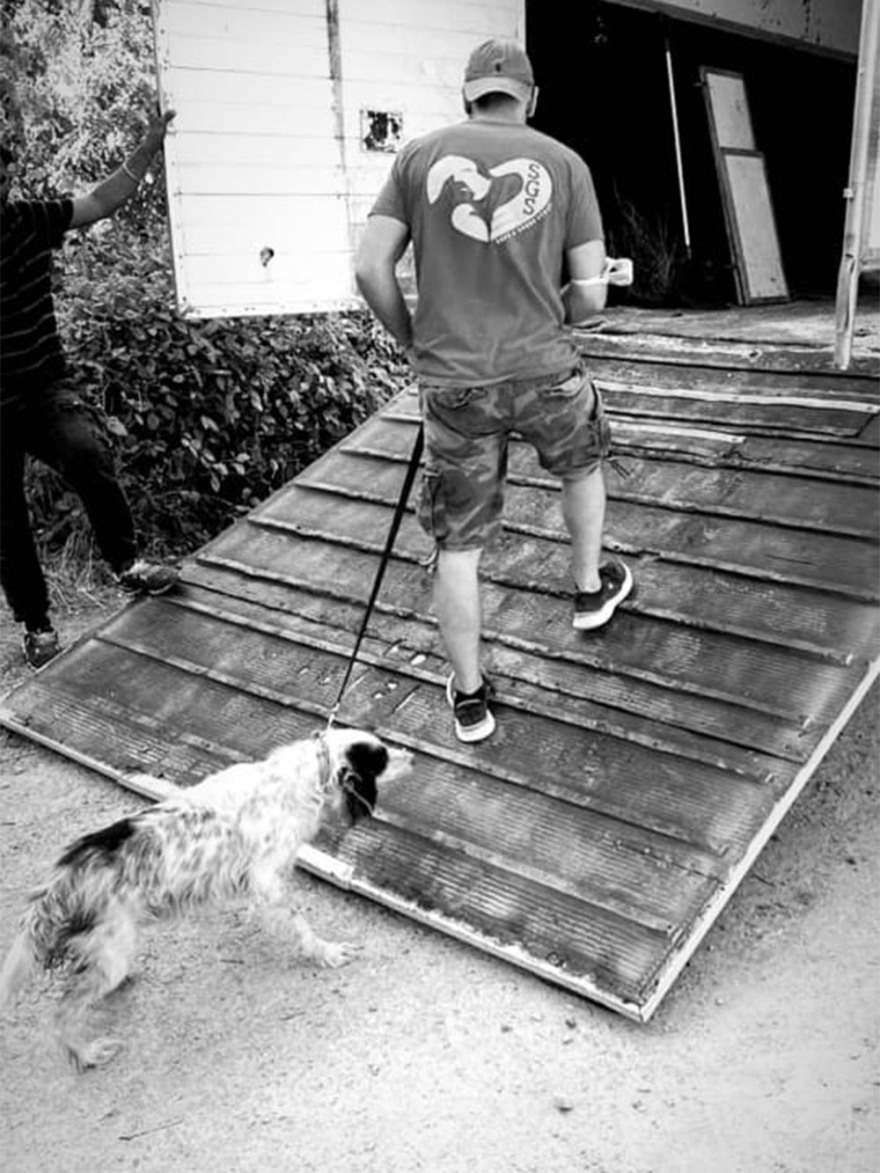 Εκκενώνεται το καταφύγιο ζώων του Save a greek stray