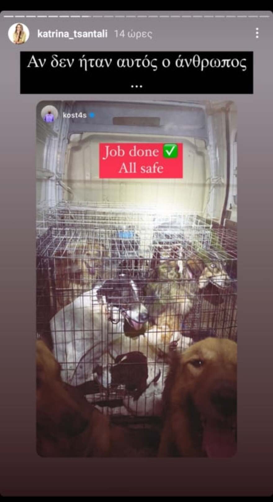 Κώστας Αναγνωστόπουλος: Με την Κατερίνα Ζαρίφη και τον Αναστάσιο Ράμμο βοήθησαν στην εκκένωση του καταφύγιου ζώων της Κατρίνας Τσάνταλη 