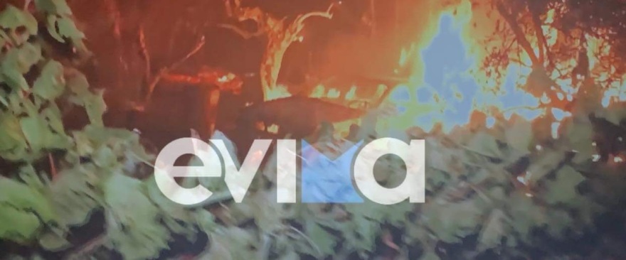 Φωτιά στην Εύβοια: Πύρινος όλεθρος για Λίμνη, Δάφνη, Μυρτιά, Κεχριές - Νέο μέτωπο προς Αιδηψό - Εκκενώσεις σε μοναστήρι και κατασκήνωση