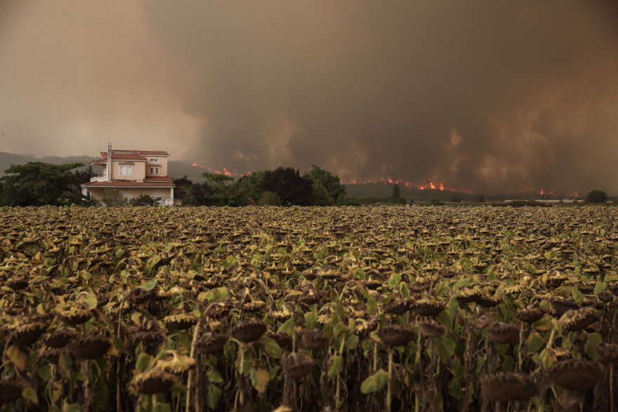 Ξέφυγε η φωτιά στην Εύβοια: Στον Δήμο Ιστιαίας - Αιδηψού οι φλόγες - Εισήγηση για εκκένωση σε Μαντούδι και Κυμάσι 