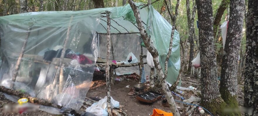 Ιωάννινα: Έτοιμοι για μάχη οι χασισοκαλλιεργητές, κοιμόντουσαν με καλάσνικοφ