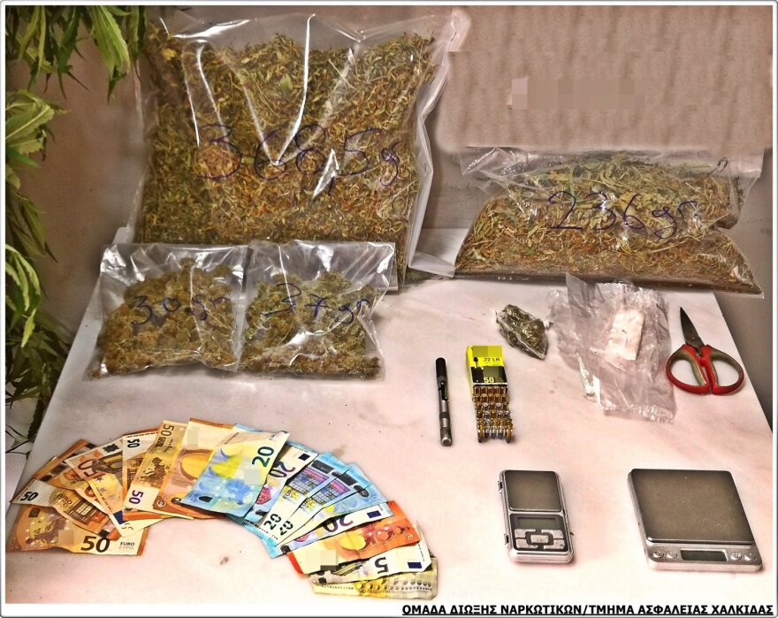 Χαλκίδα: Στην αποθήκη και στην αυλή καλλιεργούσε χασισόδεντρα