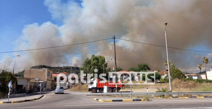 Φωτιά στον Πύργο: Μεγάλο πύρινο μέτωπο στην περιοχή Νεμούτα