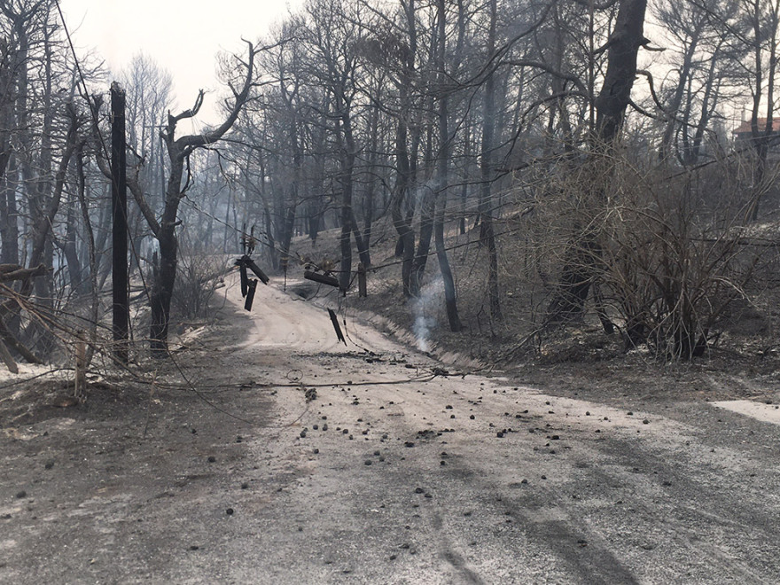 Φωτιά στην Αττική - Αγώνας δρόμου για να ελεγχθούν τα μέτωπα στις Αφίδνες - Καμένα σπίτια και αυτοκίνητα στη Δροσοπηγή (βίντεο + φωτογραφίες)