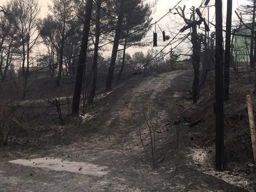 Φωτιά στην Αττική - Αγώνας δρόμου για να ελεγχθούν τα μέτωπα στις Αφίδνες - Καμένα σπίτια και αυτοκίνητα στη Δροσοπηγή (βίντεο + φωτογραφίες)