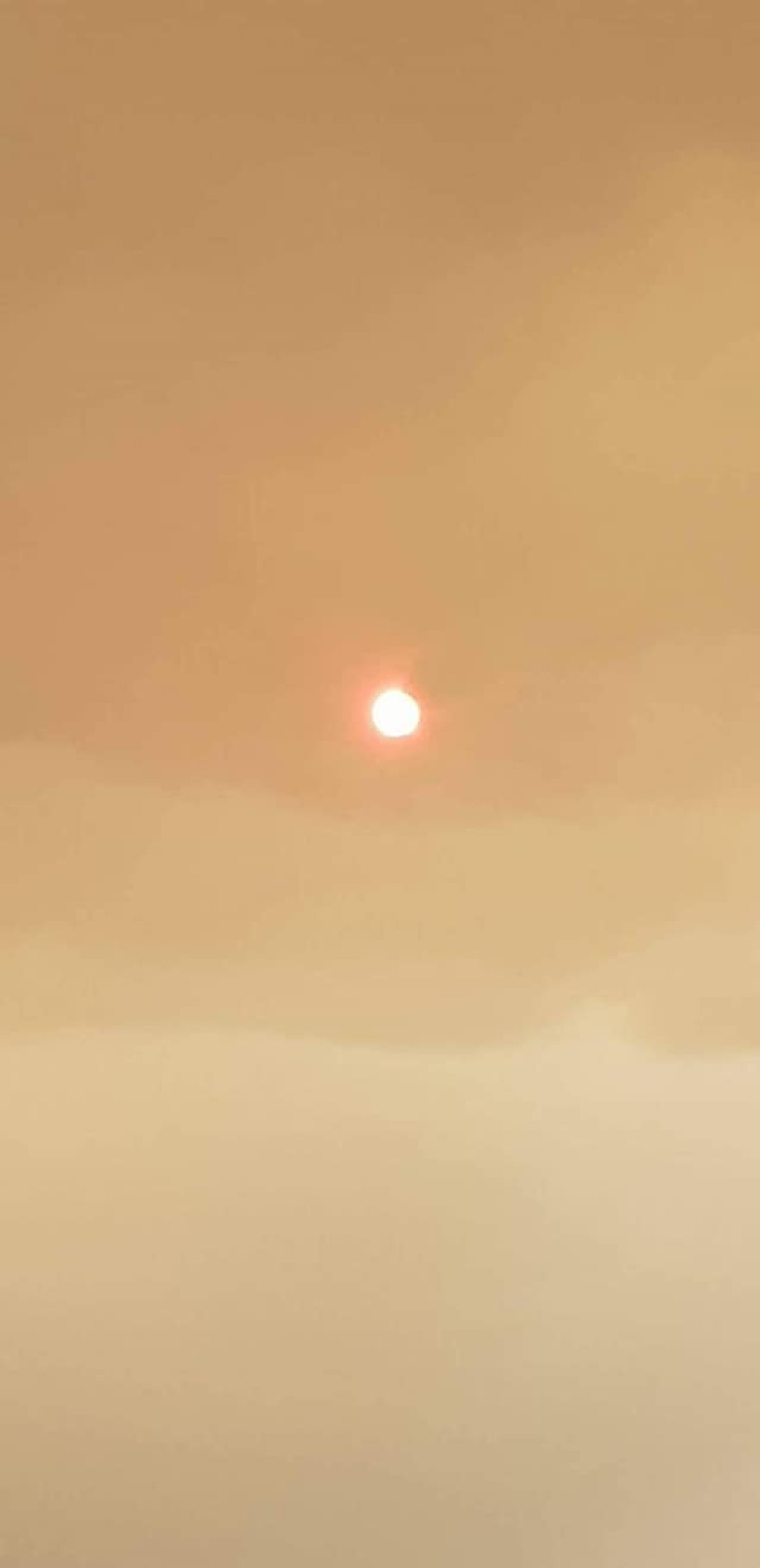 Φωτιά στην Εύβοια: Ως τη Λήμνο έφτασαν οι καπνοί - Δείτε φωτογραφίες