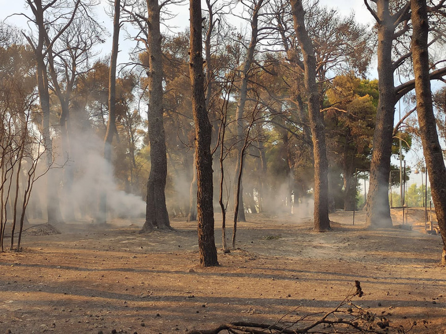 Μαλακάσα: Οι φλόγες πέρασαν την εθνική προς Ωρωπό - Αίτημα να εκκενωθεί το Μαρκόπουλο 