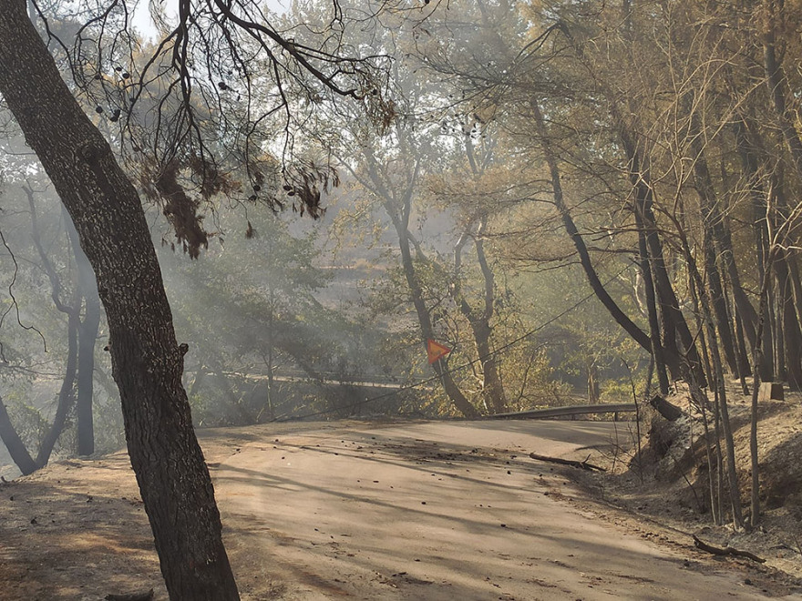 Μαλακάσα: Οι φλόγες πέρασαν την εθνική προς Ωρωπό - Αίτημα να εκκενωθεί το Μαρκόπουλο 