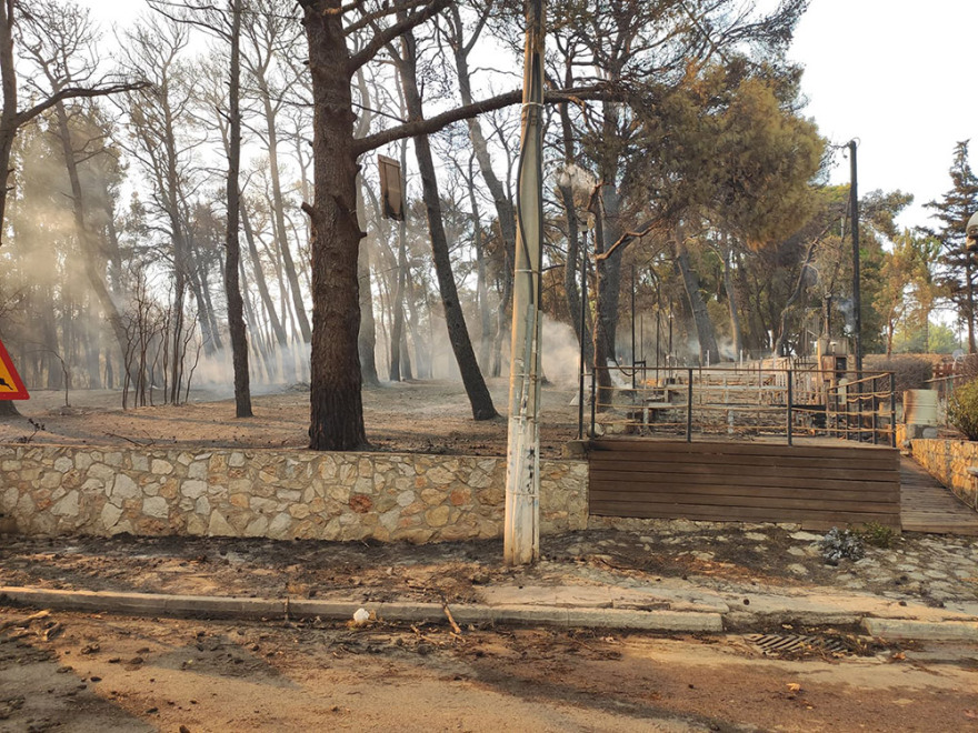 Μαλακάσα: Οι φλόγες πέρασαν την εθνική προς Ωρωπό - Αίτημα να εκκενωθεί το Μαρκόπουλο 