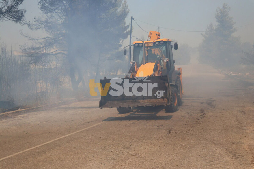 Υπό μερικό έλεγχο η φωτιά στον Θεολόγο: Σταμάτησαν τις φλόγες λίγο πριν το Μοναστήρι στη Μαλεσίνα 