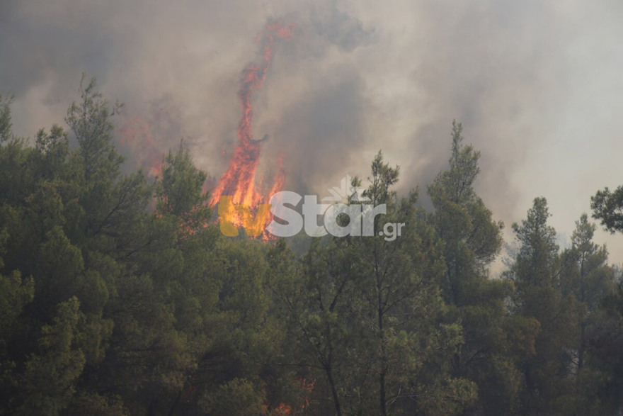 Υπό μερικό έλεγχο η φωτιά στον Θεολόγο: Σταμάτησαν τις φλόγες λίγο πριν το Μοναστήρι στη Μαλεσίνα 