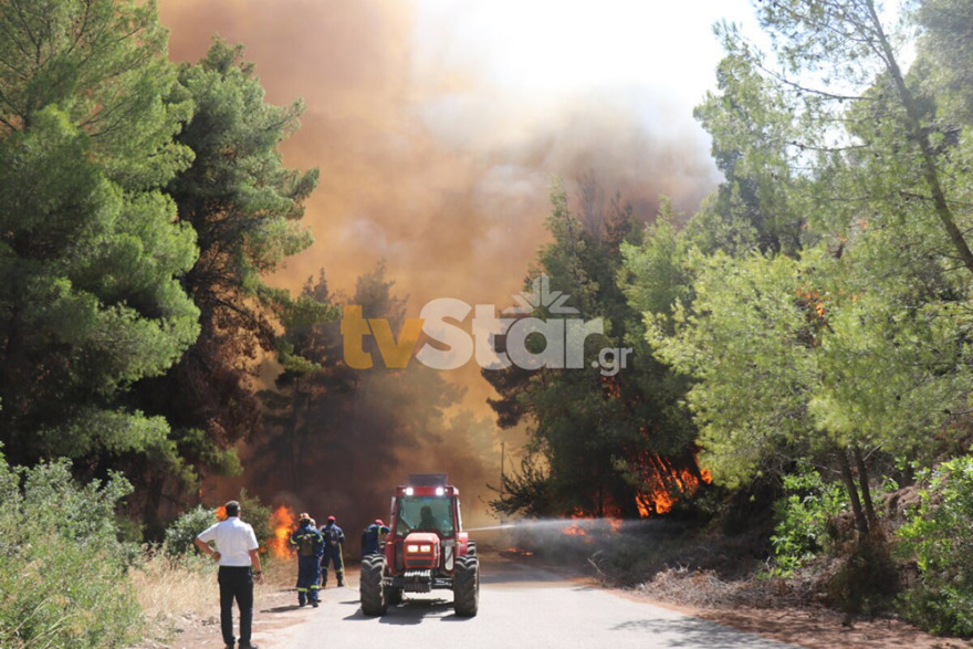 Υπό μερικό έλεγχο η φωτιά στον Θεολόγο: Σταμάτησαν τις φλόγες λίγο πριν το Μοναστήρι στη Μαλεσίνα 