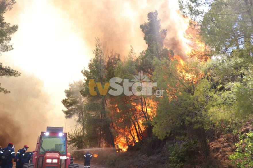 Υπό μερικό έλεγχο η φωτιά στον Θεολόγο: Σταμάτησαν τις φλόγες λίγο πριν το Μοναστήρι στη Μαλεσίνα 