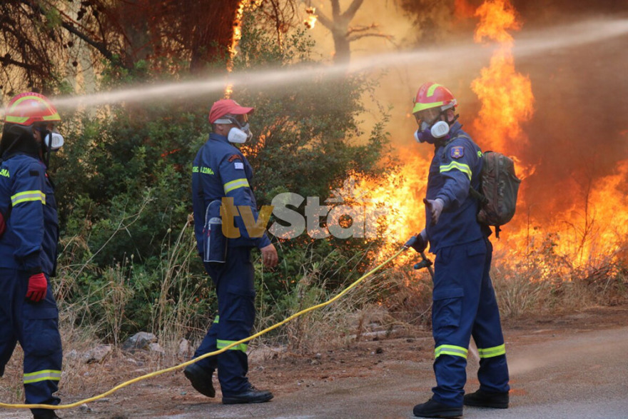 Υπό μερικό έλεγχο η φωτιά στον Θεολόγο: Σταμάτησαν τις φλόγες λίγο πριν το Μοναστήρι στη Μαλεσίνα 