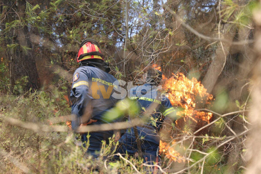 Υπό μερικό έλεγχο η φωτιά στον Θεολόγο: Σταμάτησαν τις φλόγες λίγο πριν το Μοναστήρι στη Μαλεσίνα 
