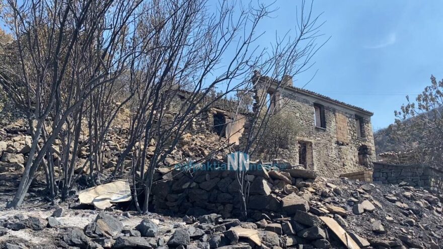 Φωτιά στη Φωκίδα: Μαίνεται το μέτωπο - Απειλούνται χωριά (βίντεο - φωτογραφίες)